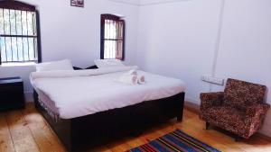 Silent Valley- Alchauna along river Kalsa