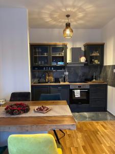 ThermaSpa Apartment Zlatibor