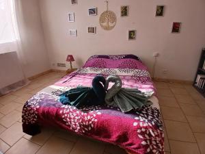 Grand Studio Côté Jardin