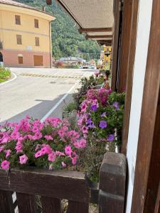 Perarolo home with a view of the Dolomites, sleeps 5