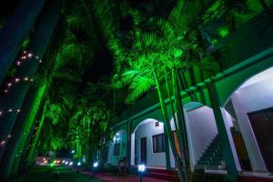 Hotel Jungle Palace Resort