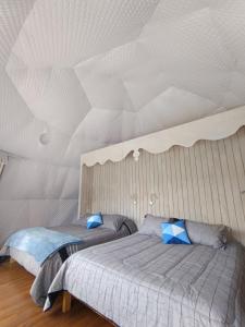 Domos Centro Las Lengas Gd