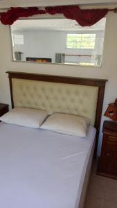 Cabañas Alto del valle