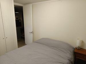 Departamento San Pedro de la Paz