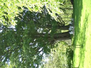 Garden flat at Broomfield