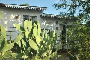 Cabaña "Bienestar" vista a las sierras, cerca del rio en La Serranita
