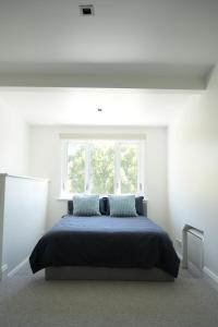 Elegant, Sunny House - 3 Bedrooms, 2 Bathrooms