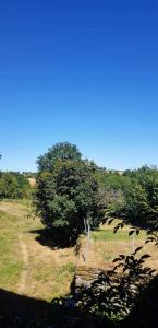 Maison de ferme rénovée & lumineuse - Renovated, Bright & Quiet Stone Farmhouse 20 min from Rodez