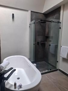 Esplendor by Wyndham San Luis Potosi