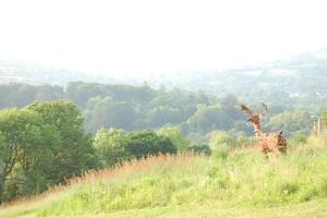 Stables, 2 bed, Private Eco House, Dartmoor