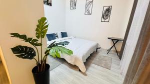 Апартаменти Шпитальна