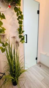 Апартаменти Шпитальна