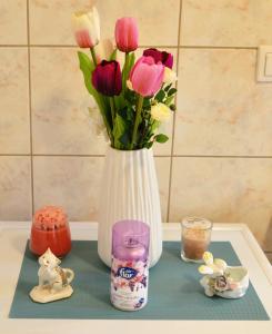 AXILLEION Apartment Alexandroupolis