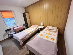 Agroturystyka u Zosi