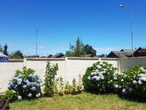 Los Castaños Pucón