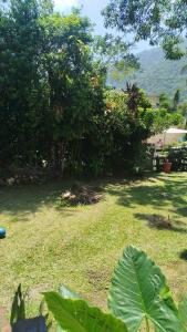 Casinha aconchegante na natureza