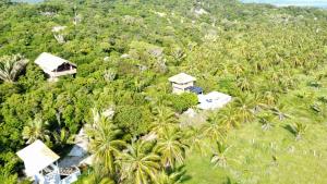 New Ruins Off-The-Grid SuperAdobe Domes with Pool