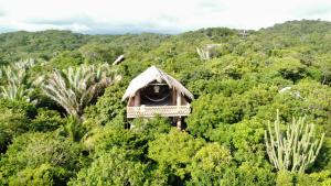New Ruins Off-The-Grid SuperAdobe Domes with Pool