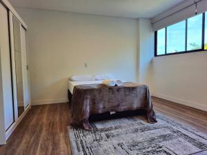 CURTA!|223| Studio Vivendas Novo & Completo