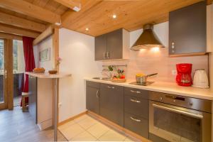 Résidence Grand Roc - Ancolies 211 - Happy Rentals