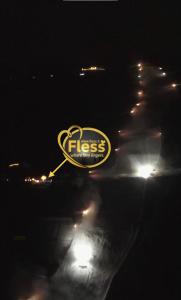Fless