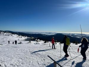 Apartmán Horní Mísečky