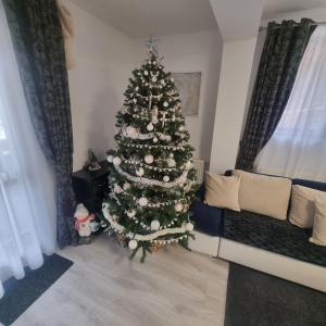 Apartament Kalinderu K3 Busteni