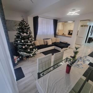 Apartament Kalinderu K3 Busteni