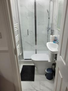 525 Romford Rd, Basement Flat