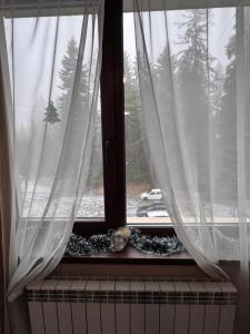 Borovetz Gardens MVS Apart E28