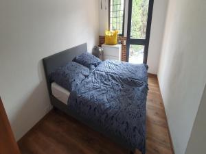 Charmante Villa mit drei Apartments