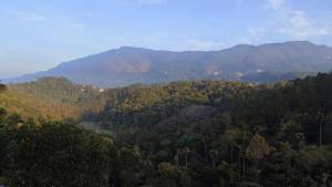 Estancia Munnar