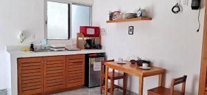 Estudio Coatí Azul en la Isla de Cozumel en el Caribe