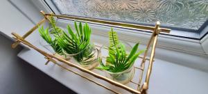 Beautiful Property 15 min drive to City, 5 mins M1 FREE LATE CHECK OUT AND PARKING