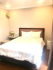 Hanoi Apartment Lion