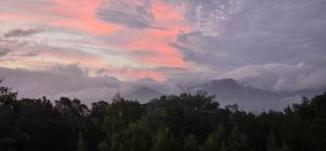 Pura Vida Forest Cabin