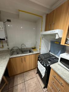 Descansa en playa pelluco