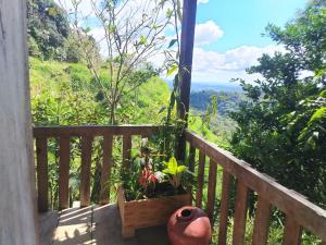 Somos Zapatón Catarata EL REY