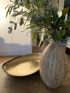 Grampians View Eco Retreat