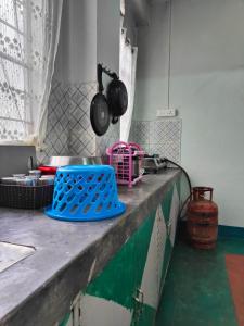 Pine trees HomeStay