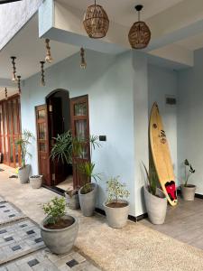 Blue Mind Surf Home