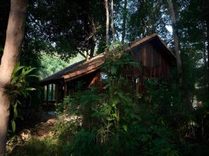 Forest Floor Lodge