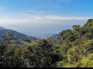 Ohiya Alpine River Lodge
