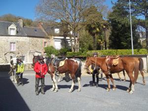 Hotels Hotel Des Bains : photos des chambres