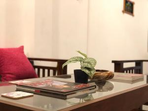 Bamboo Grove Cottages