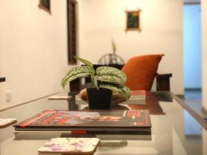 Bamboo Grove Cottages