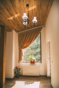 Cabana Gura Voronețului