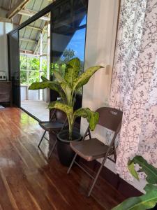 Siquijor Hilltop House Near Cambugahay Falls