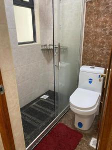 Luxury Apartment in Kilimani