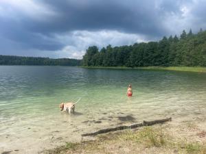 Żurawi klangor dom z sauną i jacuzzi